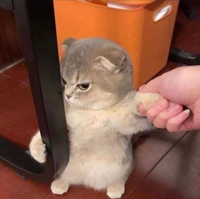 "Отстань, я обиделась"