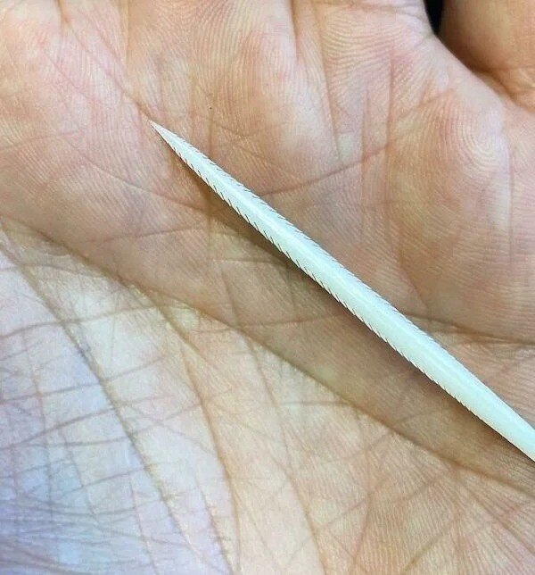 20+ неожиданных находок, которые сделали в самых разных местах