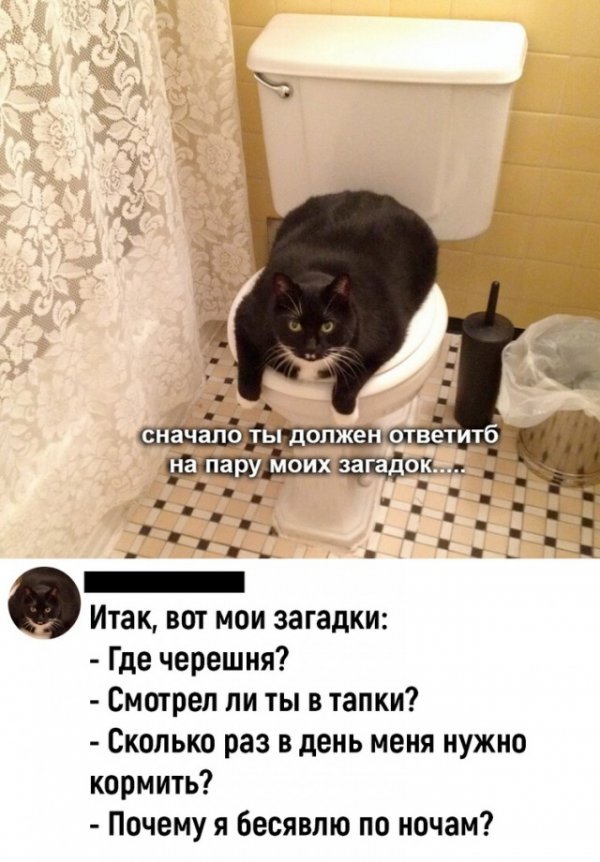 Так себе картинки