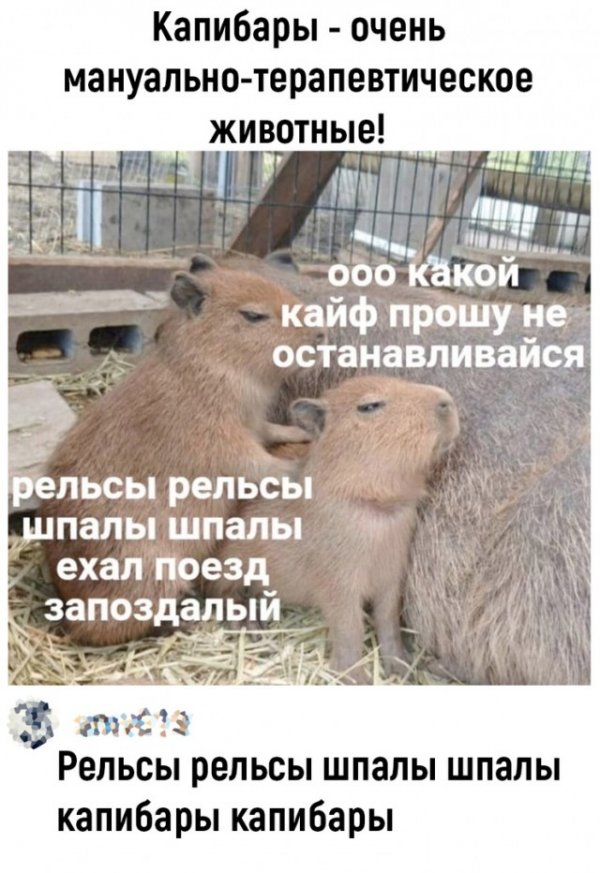 Так себе картинки