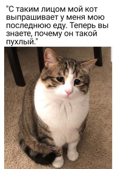 Так себе картинки