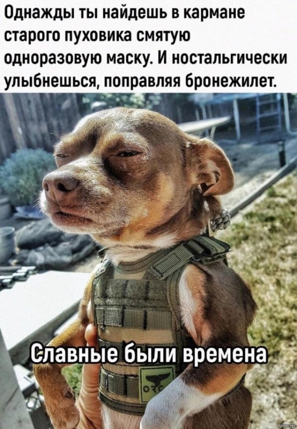 Так себе картинки