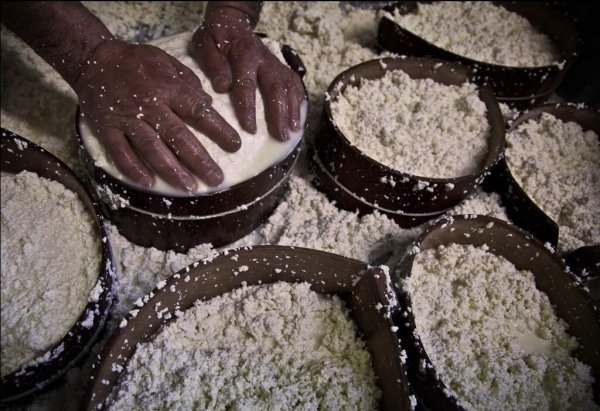 Так светло жизнь в деревне еще никто не снимал