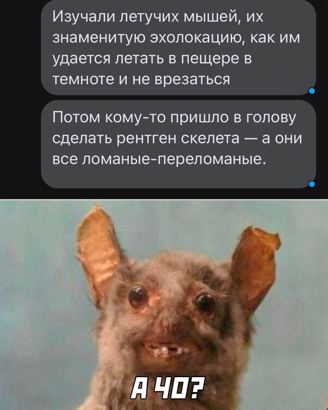 Подборка картинок. Вечерний выпуск (30 фото) - 16.08.2022