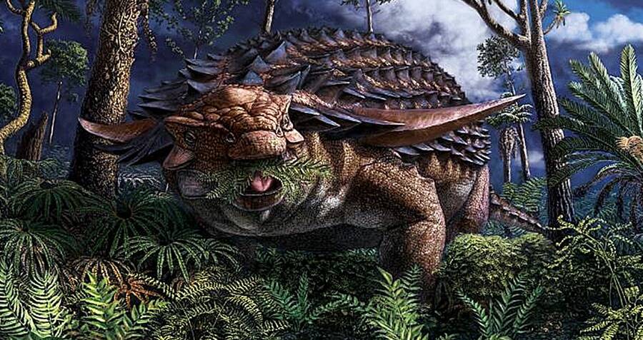 Посмотрите, что это прекрасно