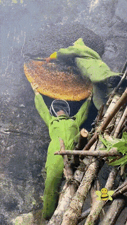 Подборка гифок (25 гифок) - 23.08.2022