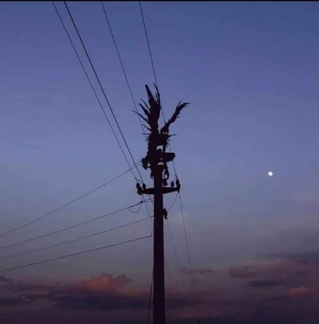 Фотографии из серии Что здесь происходит?