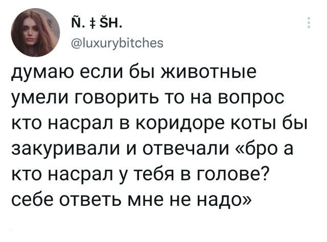 Подборка забавных твитов обо всем