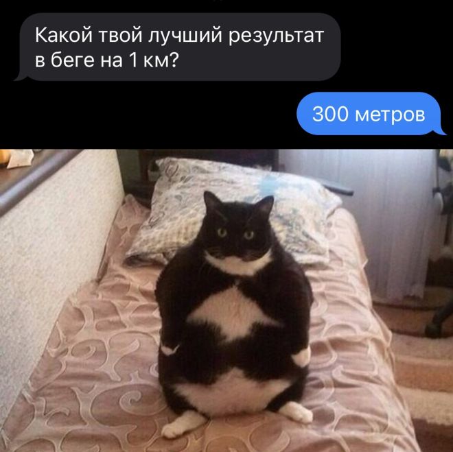 Подборка картинок. Вечерний выпуск (30 фото) - 02.09.2022