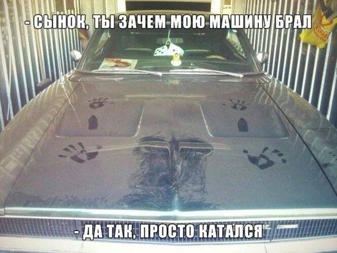 Смешные и познавательные картинки