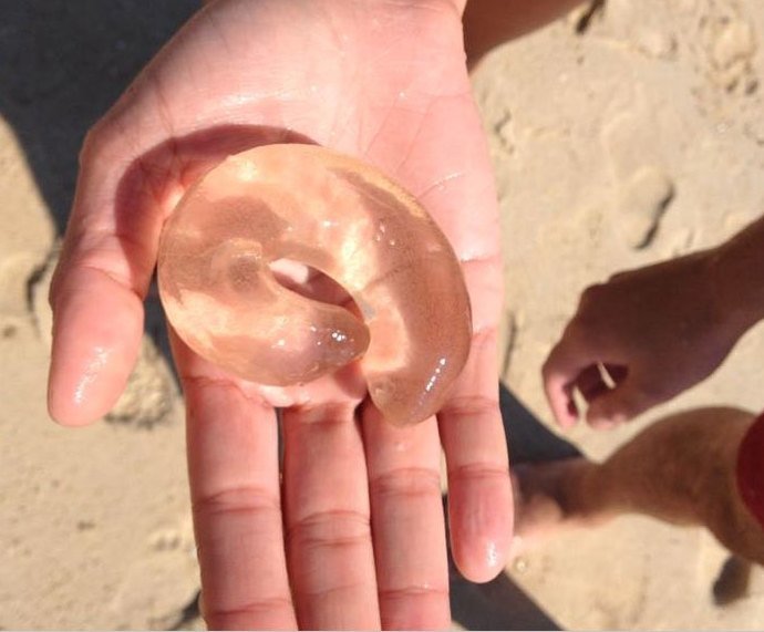 Фотография: 30 недоумевающих людей, которые нашли в интернете ответ на свой вопрос №16 - BigPicture.ru