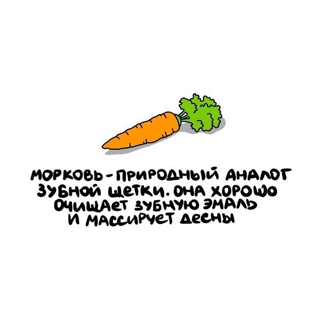 Интересные факты на все случаи жизни