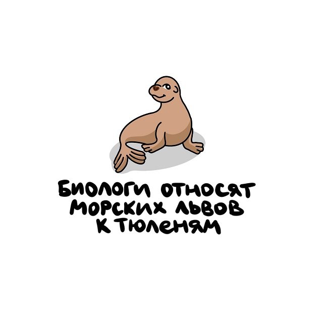 Интересные факты на все случаи жизни