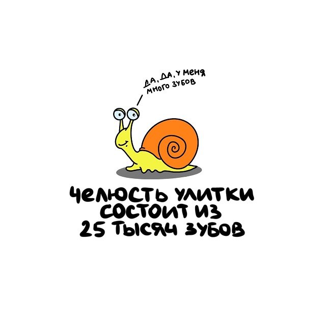 Интересные факты на все случаи жизни