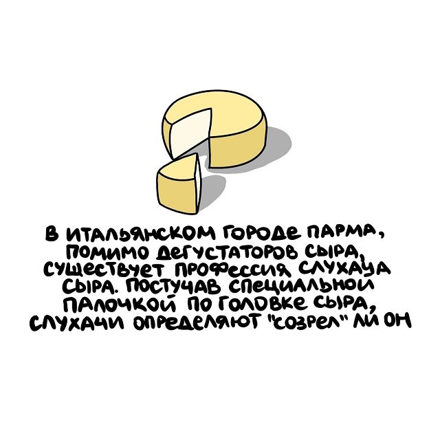 Интересные факты на все случаи жизни