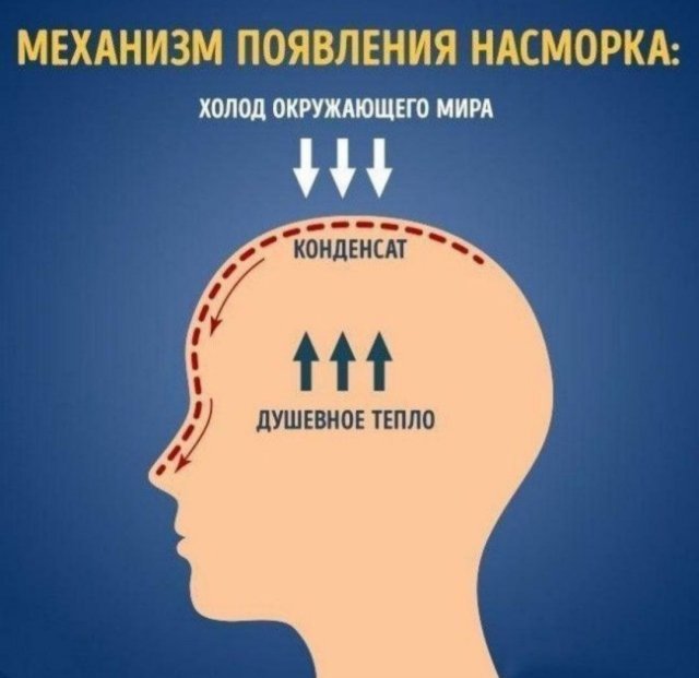 Лучшие шутки и мемы из Сети - 27.09.2022