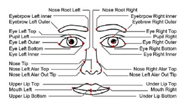 Генетики нашли сходство в ДНК у неродственных двойников Генетики нашли сходство в ДНК у неродственных двойников