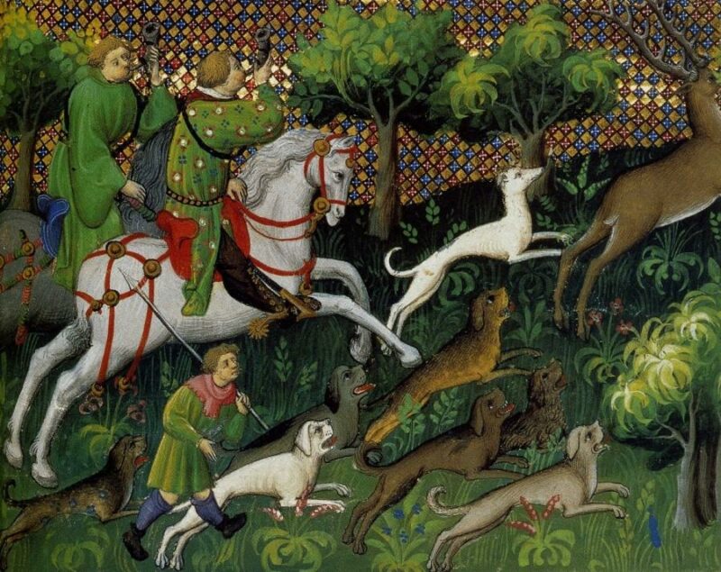 Фотография: Почему раньше в лесах охотились верхом, а сегодня трудно идти даже пешком №2 - BigPicture.ru