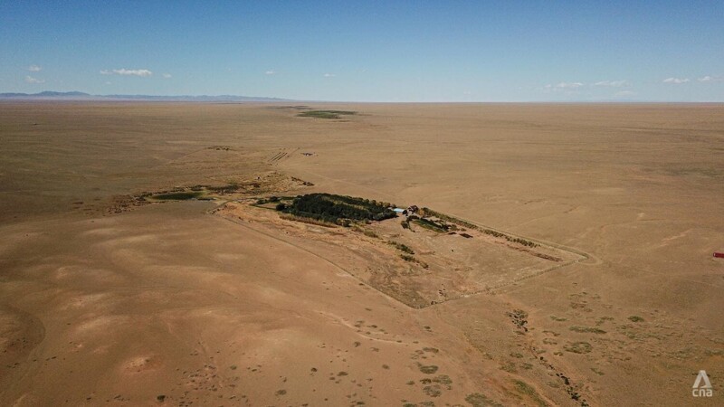 Фермер из Монголии вырастил зеленый оазис посреди пустыни Гоби