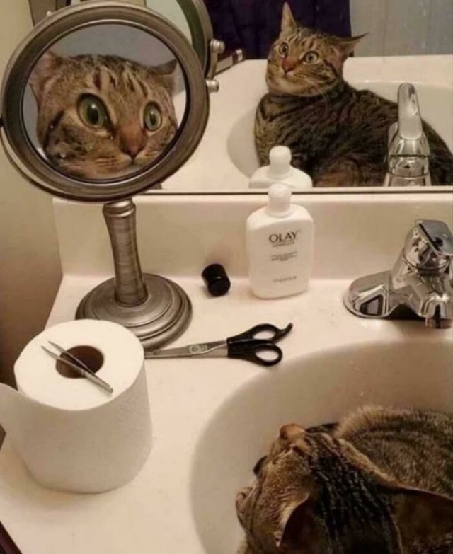 Фотографии из серии &amp;quot;Что здесь происходит?&amp;quot;