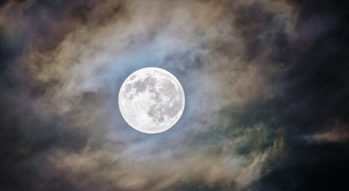 18 занимательных фактов, о которых вы возможно узнаете впервые