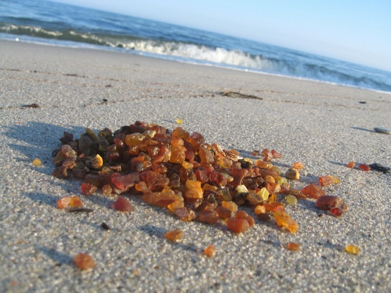 Балтийский янтарь, который стал загадкой для учёных Балтийский янтарь, который стал загадкой для учёных