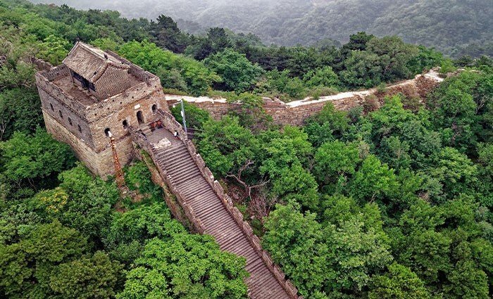 Факты, которые вас удивят