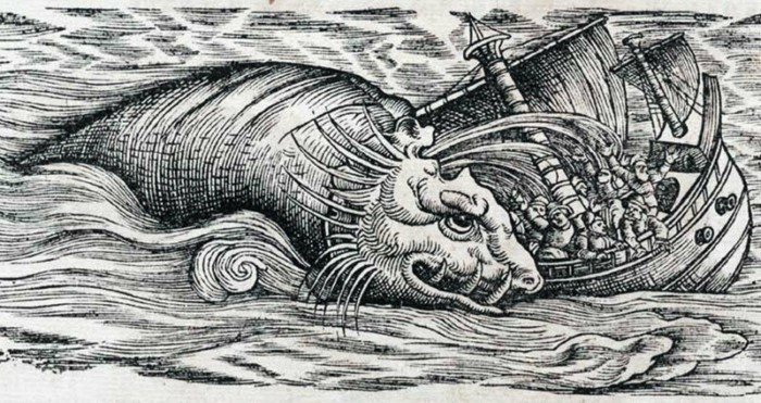 Морское чудовище, в существование которого не верили 1000 лет