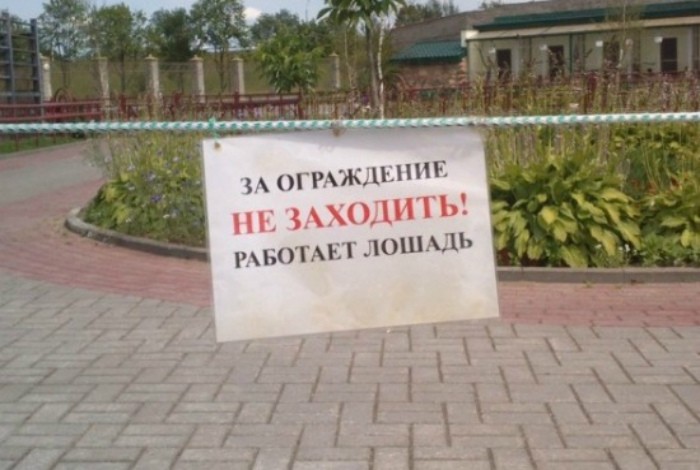 Лошааадкааа! Лошааадкааа!