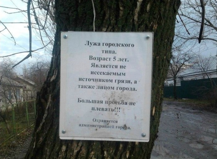 Какой город – такое и лицо Какой город – такое и лицо