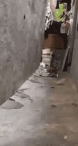 Подборка гифок (25 гифок) - 18.11.2022