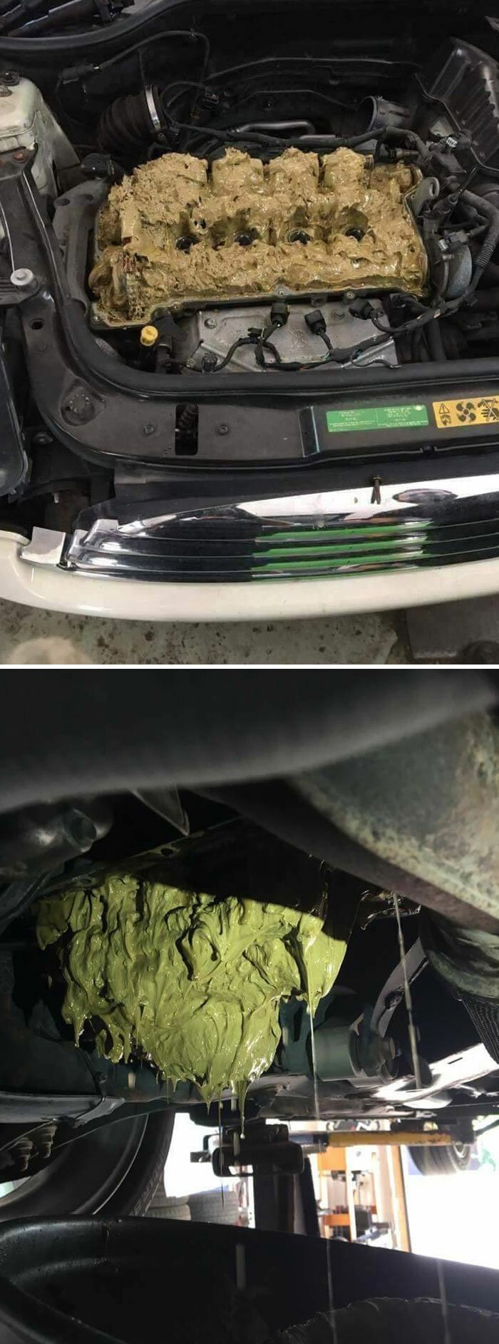 Фотография: У вас был неудачный день? Поверьте, у этих 30 людей все куда хуже №21 - BigPicture.ru