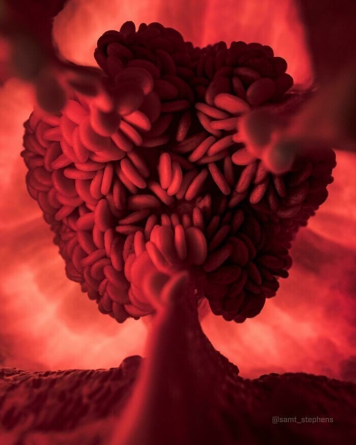 «Я заснял!»: 20+ интересных снимков, которыми поделись пользователи сети «Я заснял!»: 20+ интересных снимков, которыми поделись пользователи сети