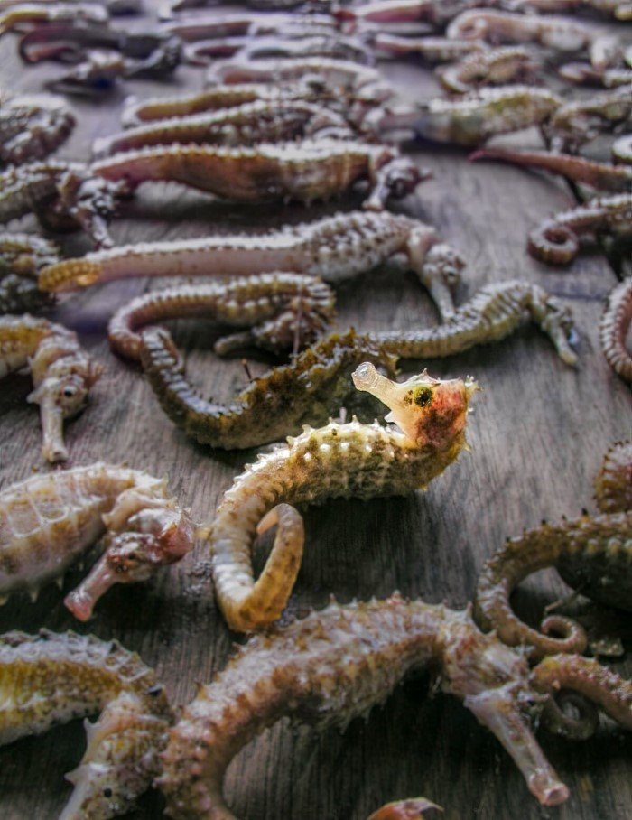 28 подводных снимков, которые захватывают дух