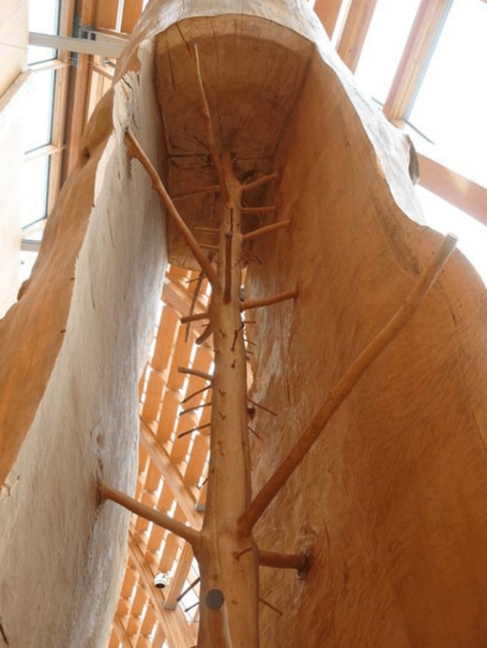 18 привычных вещей в разрезе