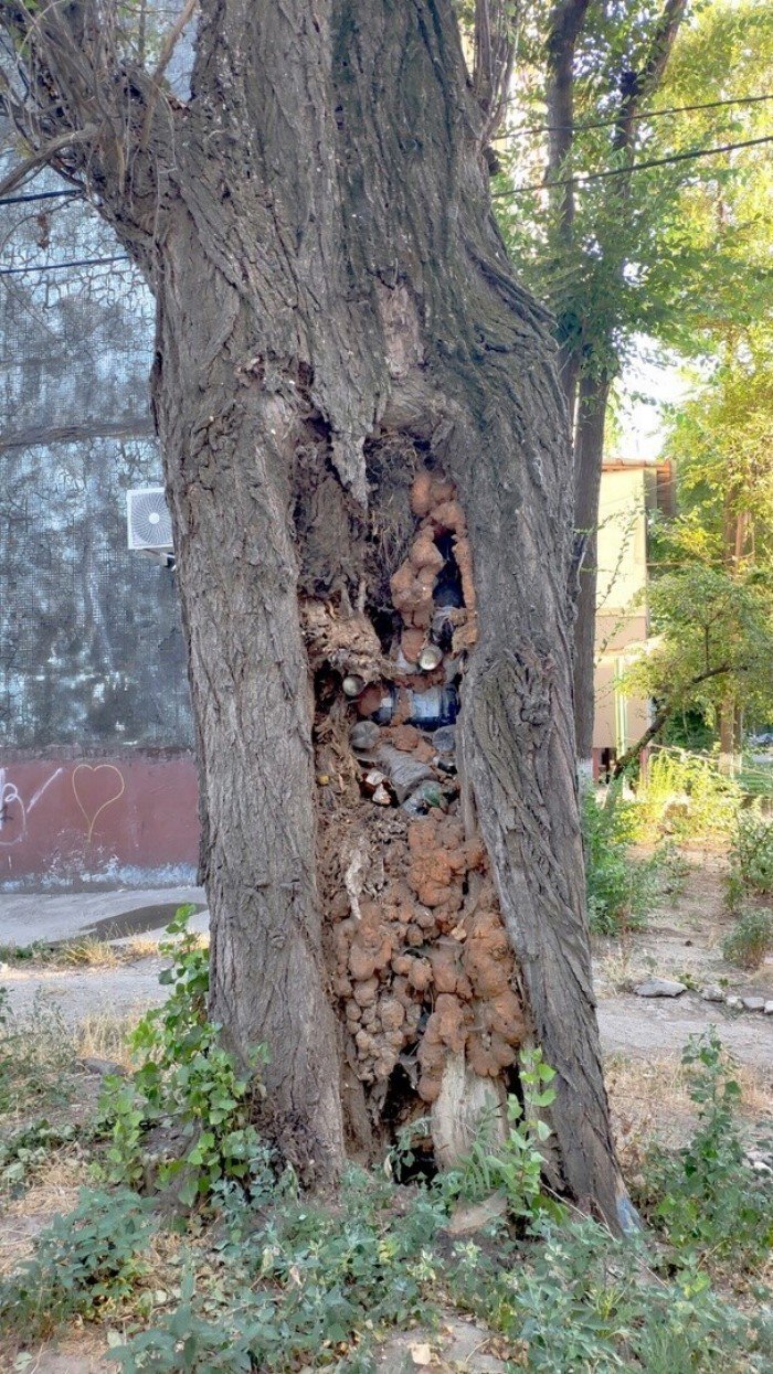 Если и можно сделать хуже, то работники ЖКХ сделают Если и можно сделать хуже, то работники ЖКХ сделают