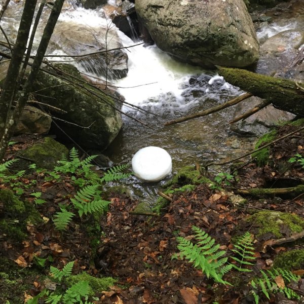 Огромное яйцо? Гриб? Нет, это обычная пена, скопившаяся в водовороте