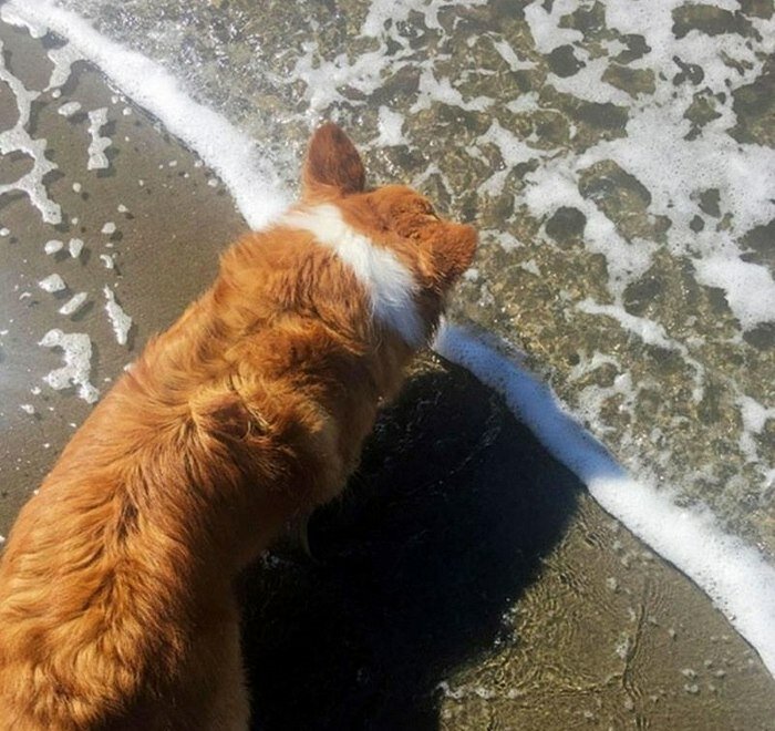 Фотография: 20 идеальных кадров, в реальность которых даже сложно поверить №6 - BigPicture.ru