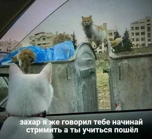 Лучшие шутки и мемы из Сети - 20.04.2023