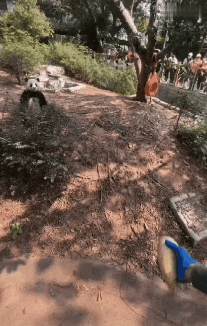 Подборка гифок -  25.04.2023