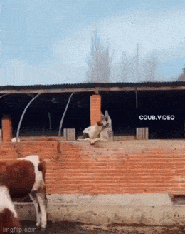 Подборка гифок -  25.04.2023