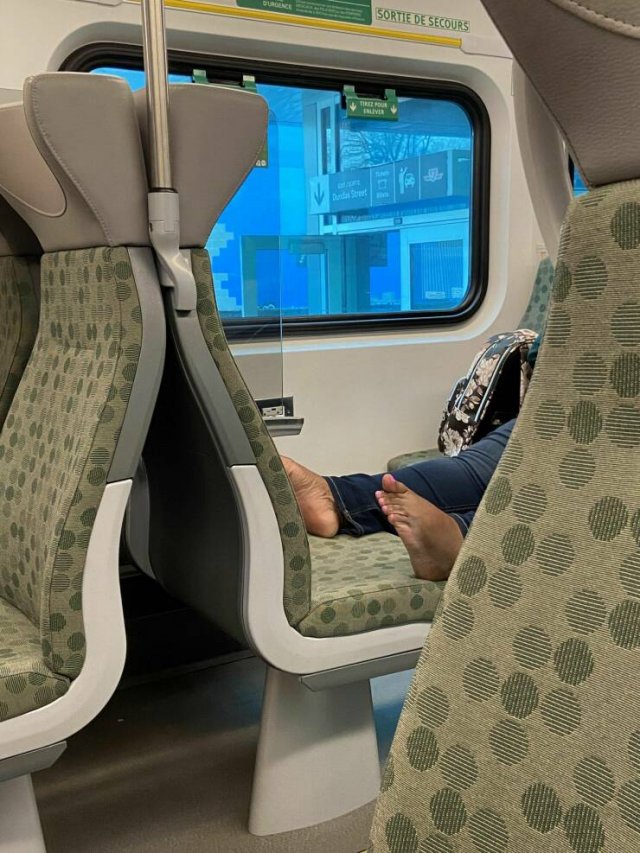 Подборка картинок. Вечерний выпуск - 15.05.2023