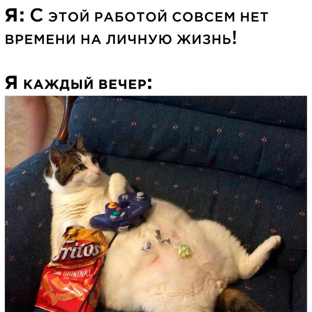 Подборка картинок. Вечерний выпуск - 25.05.2023