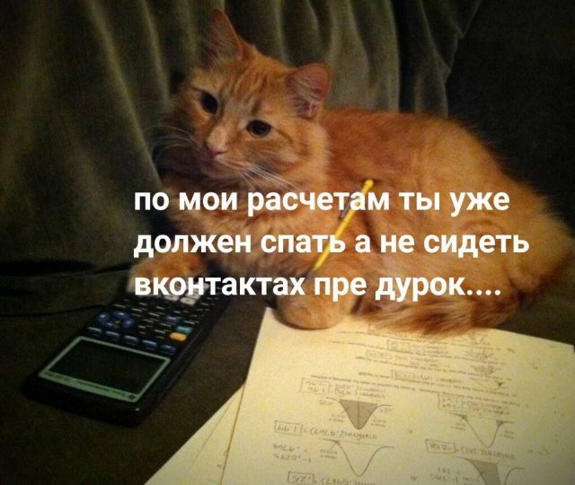 Лучшие шутки и мемы из Сети - 25.05.2023