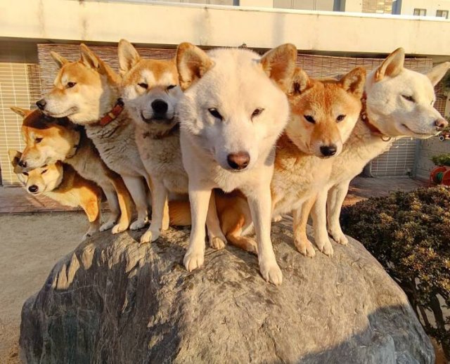 Подборка картинок. Вечерний выпуск - 25.05.2023