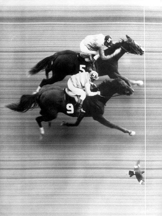 Подборка картинок. Вечерний выпуск - 25.05.2023