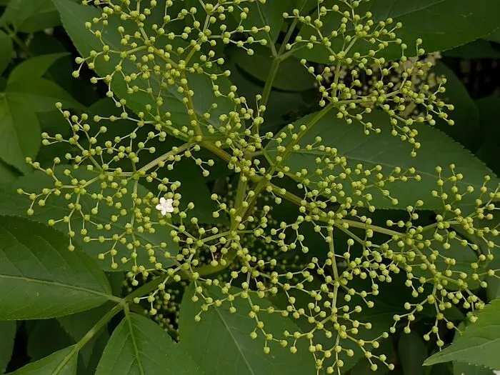 25 художественных снимков в эстетике минимализма 25 художественных снимков в эстетике минимализма