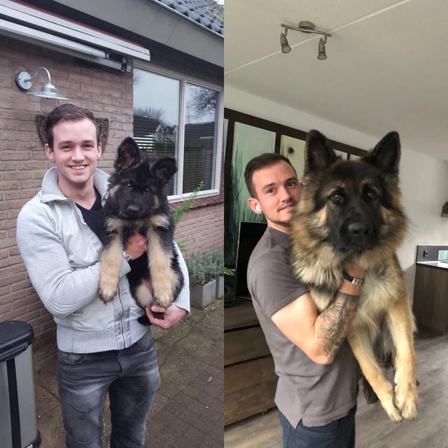 Фотография: 22 фото, на которых зашкаливает уровень мимимишности №23 - BigPicture.ru