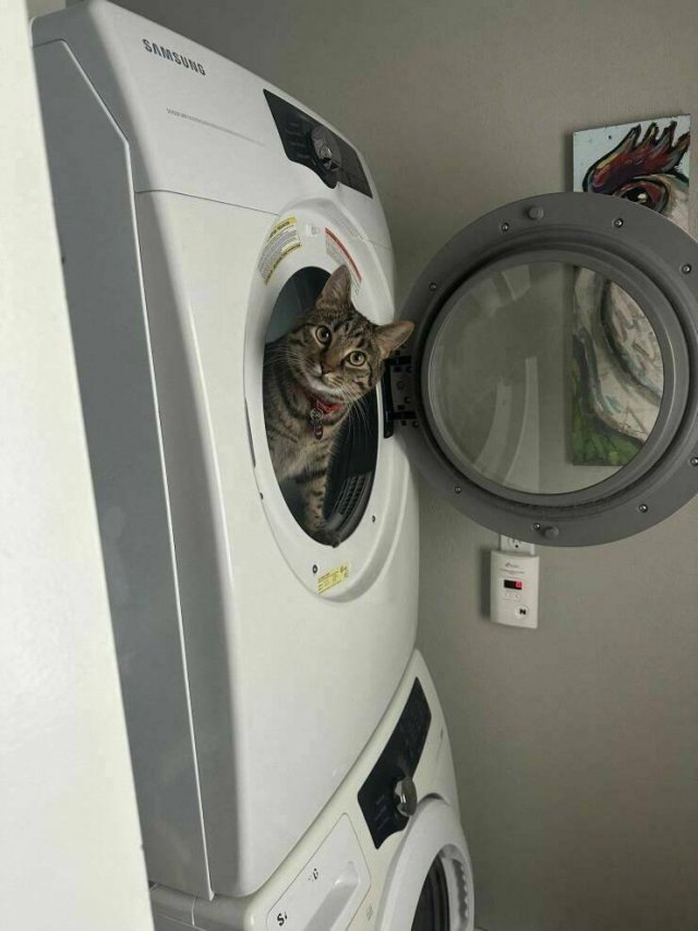 Подборка картинок. Вечерний выпуск - 10.07.2023