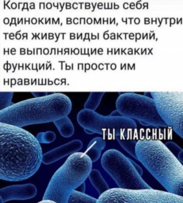 Лучшие шутки и мемы - 21.07.2023